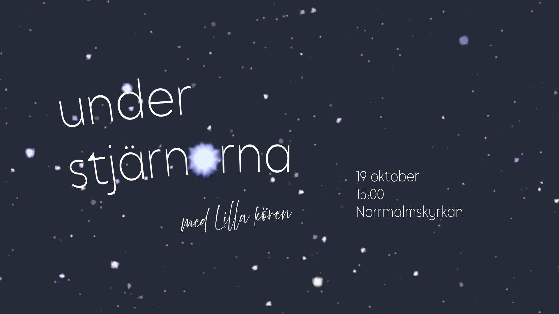 Med Lilla kören Under stjärnorna